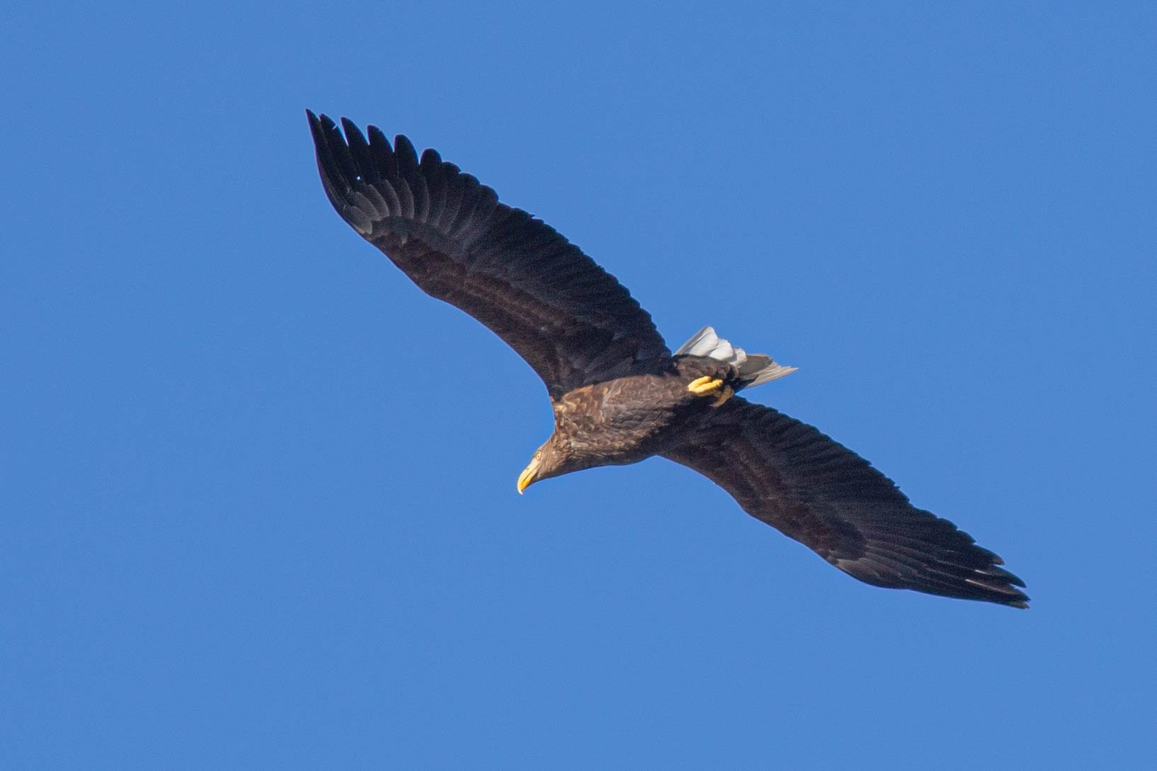 Edsåns naturreservat